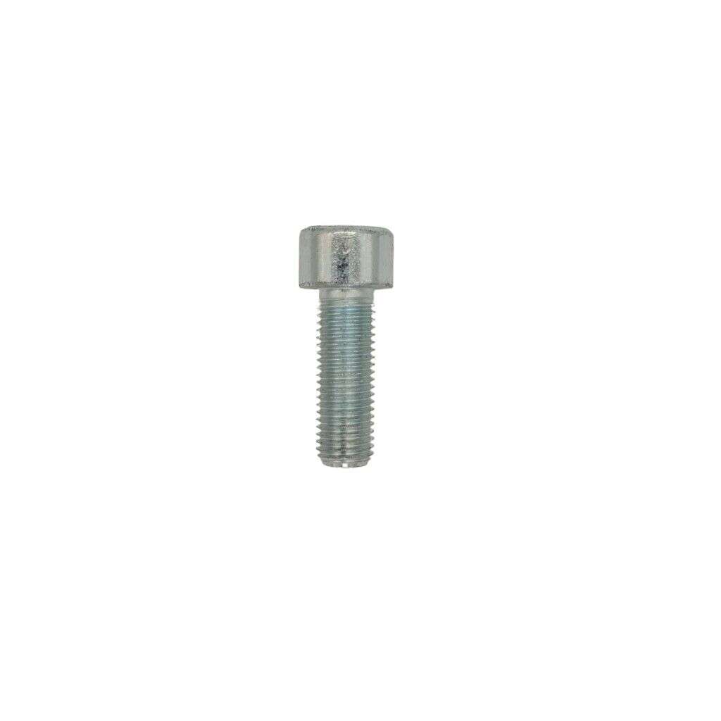 Innensechskantschrauben Normal und Feingewinde Schraube M5-M16 hochfest 10.9 12.9 DIN912 8.8 Stahl - Durchmesser/Größe: M10 x 1.25 - Länge: 30mm - Oberfläche: verzinkt 12.9